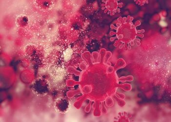 Artigo: Com contágios em aumento, HIV ainda é tabu no Brasil