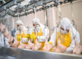 Produção industrial apresentou estabilidade ou crescimento na maioria das empresas de MS em novembro