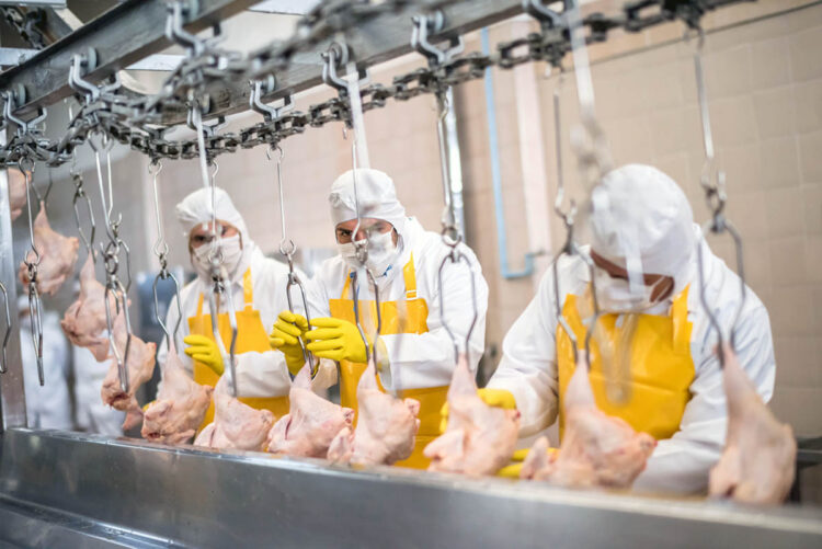 Produção industrial apresentou estabilidade ou crescimento na maioria das empresas de MS em novembro