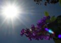 Quinta-feira com predomínio de sol e calor em Mato Grosso do Sul