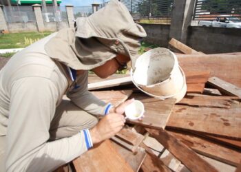 Baldes, pneus e tambores lideram ranking de objetos onde focos do Aedes Aegypti são encontrados