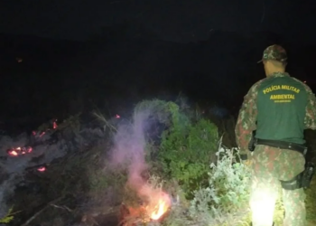 Balanço: PMA autua 78 infratores e aplica R$ 2,9 milhões em multas por incêndios