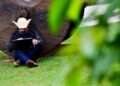 Senar/MS oferece 18 cursos virtuais gratuitos, com flexibilidade e certificação