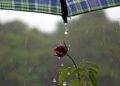 Terça-feira segue com tempo instável, com previsão de chuva em diferentes regiões