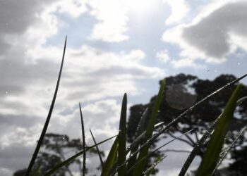 Previsão é de quinta-feira de sol, nuvens e possibilidade de chuva em MS