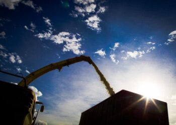 Projeção do VBP da Agropecuária de Mato Grosso do Sul em 2022 passa dos R$ 69 bilhões