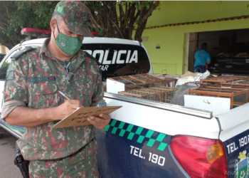 PMA autua 11 pessoas em R$ 73,5 mil por criação de animais silvestres em cativeiro