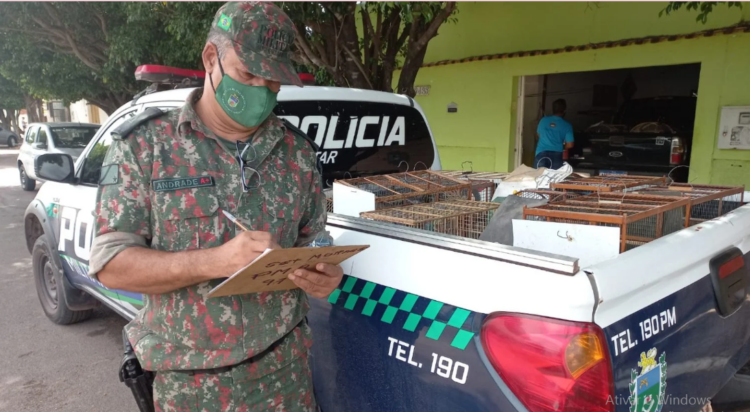 PMA autua 11 pessoas em R$ 73,5 mil por criação de animais silvestres em cativeiro