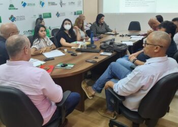 Comitê técnico define estratégias para ações de combate à dengue em 2023
