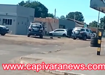 Vídeo: Populares relatam exagero em ação da PM que terminou com 2 cães mortos no Santa Emília