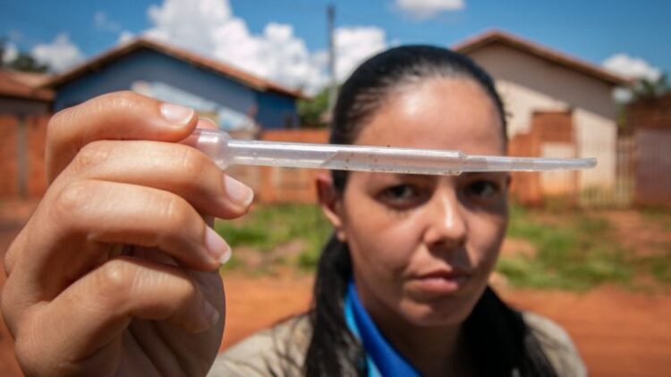 Nova etapa da campanha Operação Mosquito Zero começa na Região do Prosa