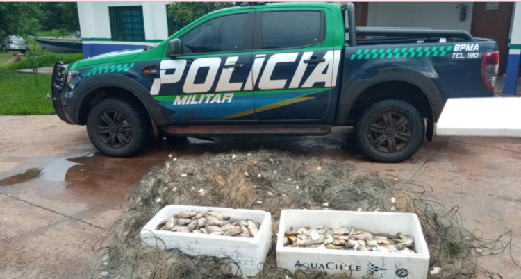 PMA apreende mais de 2 mil m de redes, solta mais de 18 kg de peixes e recolhe 58 kg já mortos
