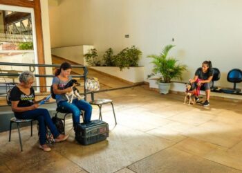 Prefeitura abre 600 vagas para castração de animais na Capital