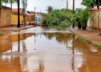 Especialista alerta para o aparecimento de doenças devido aos casos de enchentes