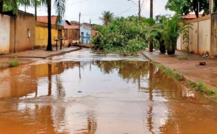 Especialista alerta para o aparecimento de doenças devido aos casos de enchentes