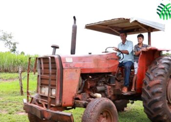 Com auxílio do Senar/MS, produtor conquista crédito rural e transforma realidade da propriedade
