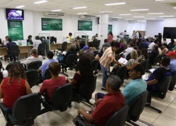 Em novo mutirão da CNH Social, 390 passam por avaliação psicológica neste sábado