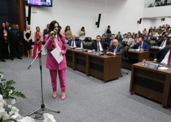 Crime contra Sophia inspirou 2 projetos de Lei apresentados pela deputada Mara Caseiro