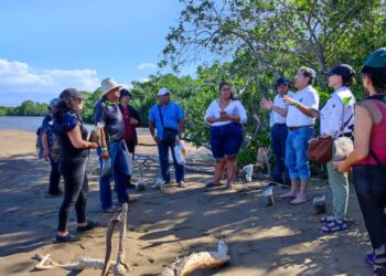 Rede TICCA destaca ameaças ambientais em comunidades da América Latina