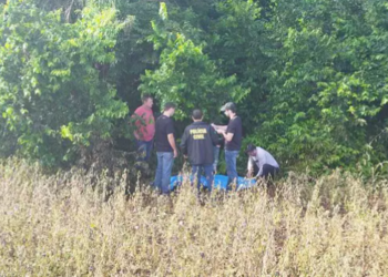 Após sequestro, menina de 6 anos é encontrada morta com sinais de estupro em MS