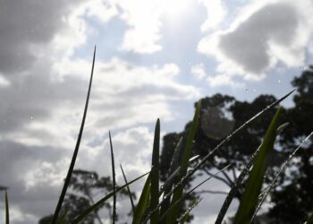 Sol, nuvens e possibilidade de chuva: a previsão do tempo para esta quinta-feira