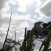 Sol, nuvens e possibilidade de chuva: a previsão do tempo para esta quinta-feira
