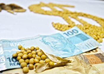 Crédito Rural para MS somou R$ 12,4 bilhões no Plano Safra no segundo semestre de 2022