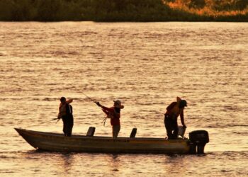 Atração turística, pesque e solte abre temporada da pesca esportiva em MS