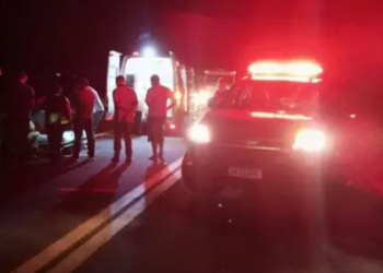 Motociclista fica ferido ao colidir com vaca, que acaba morrendo, na MS-276