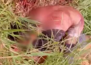 Homem encontrado de cueca e com golpes de machado morre na Santa Casa