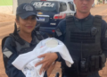 Bebê é encontrado dentro de caixa de papelão, após 24 horas de nascido na Capital
