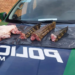Campo-grandenses são presos com 3 jacarés e 1 quati abatidos, pistola, rifle e munições