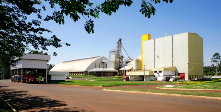 MPT-MS conclui perícia sobre vazamento de amônia em frigorífico da Seara