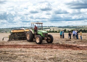 Empregos na agropecuária de MS crescem 63% em um ano