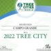 Pelo quarto ano consecutivo Campo Grande é reconhecida mundialmente como uma Tree City Of De World