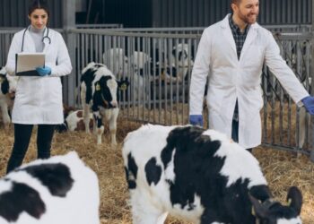 Capital adere ao Programa + Pecuária Brasil que leva melhoria genética aos pequenos produtores