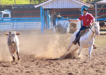 Governo de MS assina convênio de apoio aos clubes de laço comprido