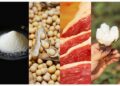 Boletim USDA monitora evolução da produção e exportação de commodities