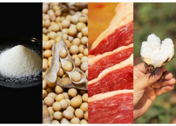 Boletim USDA monitora evolução da produção e exportação de commodities