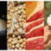 Boletim USDA monitora evolução da produção e exportação de commodities