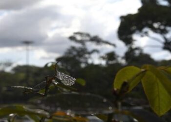 Março segue com tempo instável e previsão de tempestades durante a semana