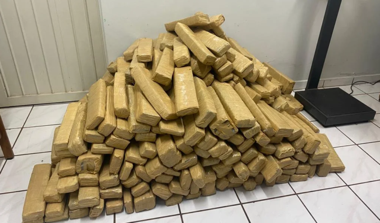 Homem é preso transportando 323 kg de maconha em caminhão de transporte de pescado