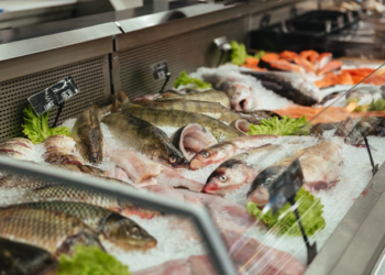 Peixes: saiba como escolher corretamente a proteína para a Quaresma e Semana Santa