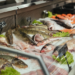 Peixes: saiba como escolher corretamente a proteína para a Quaresma e Semana Santa