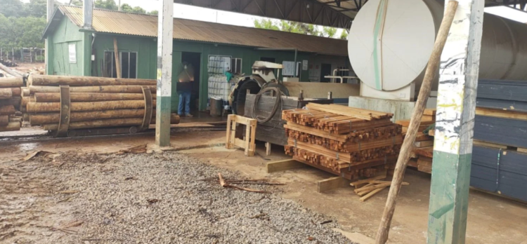 Indústria de tratamento de madeira é multada em R$ 15 mil por poluição em MS