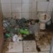 Traficantes são presos no Carioca com drogas e mantendo cães em situação degradável