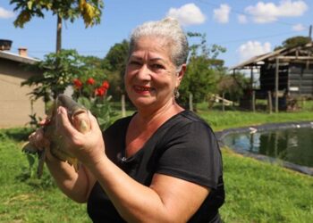 Produtora de peixe começa a comercialização do pescado, após assistência do Senar/MS