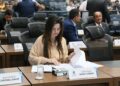Rio Verde de MT: Para evitar acidentes, deputada pede sinalização da MS-423