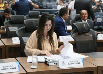 Rio Verde de MT: Para evitar acidentes, deputada pede sinalização da MS-423