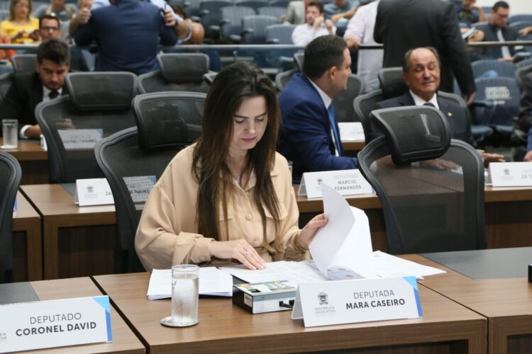 Rio Verde de MT: Para evitar acidentes, deputada pede sinalização da MS-423